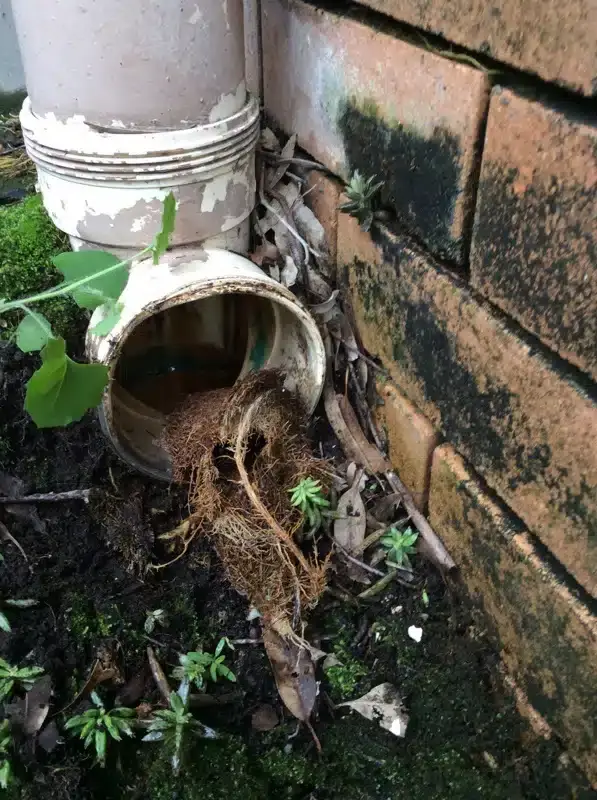 Bell Plumbing job photo