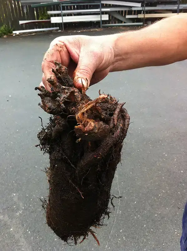 Bell Plumbing job photo